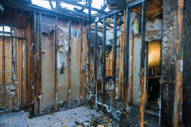 Professional Smoke Damage Removal technician working in Wilson, OK